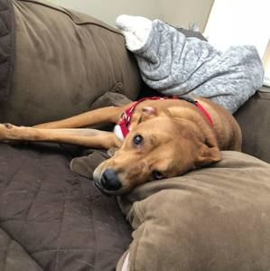 Meet your Posher, Kevin